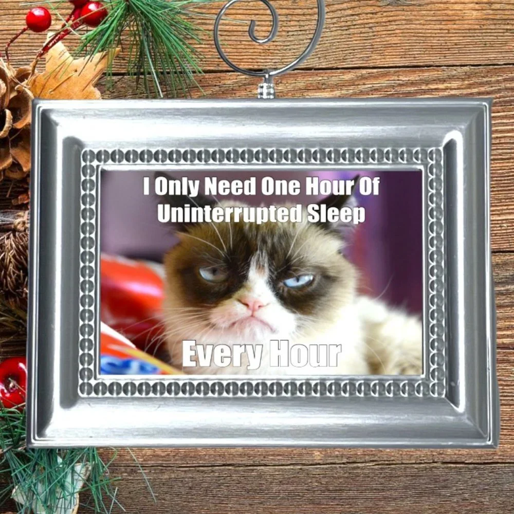 Cat Kitty Kitten Funny‎ Christmas Tree Ornament